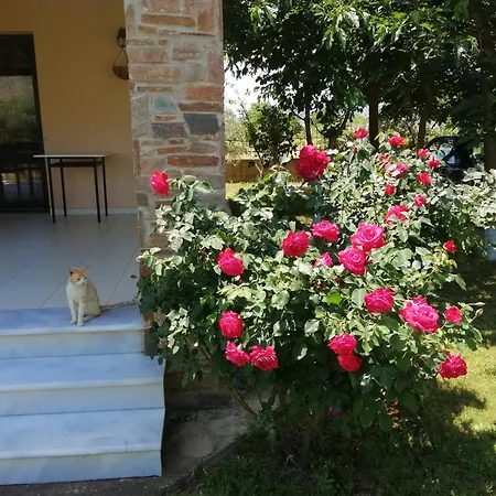 Diamont Villa Kimméria Exterior photo