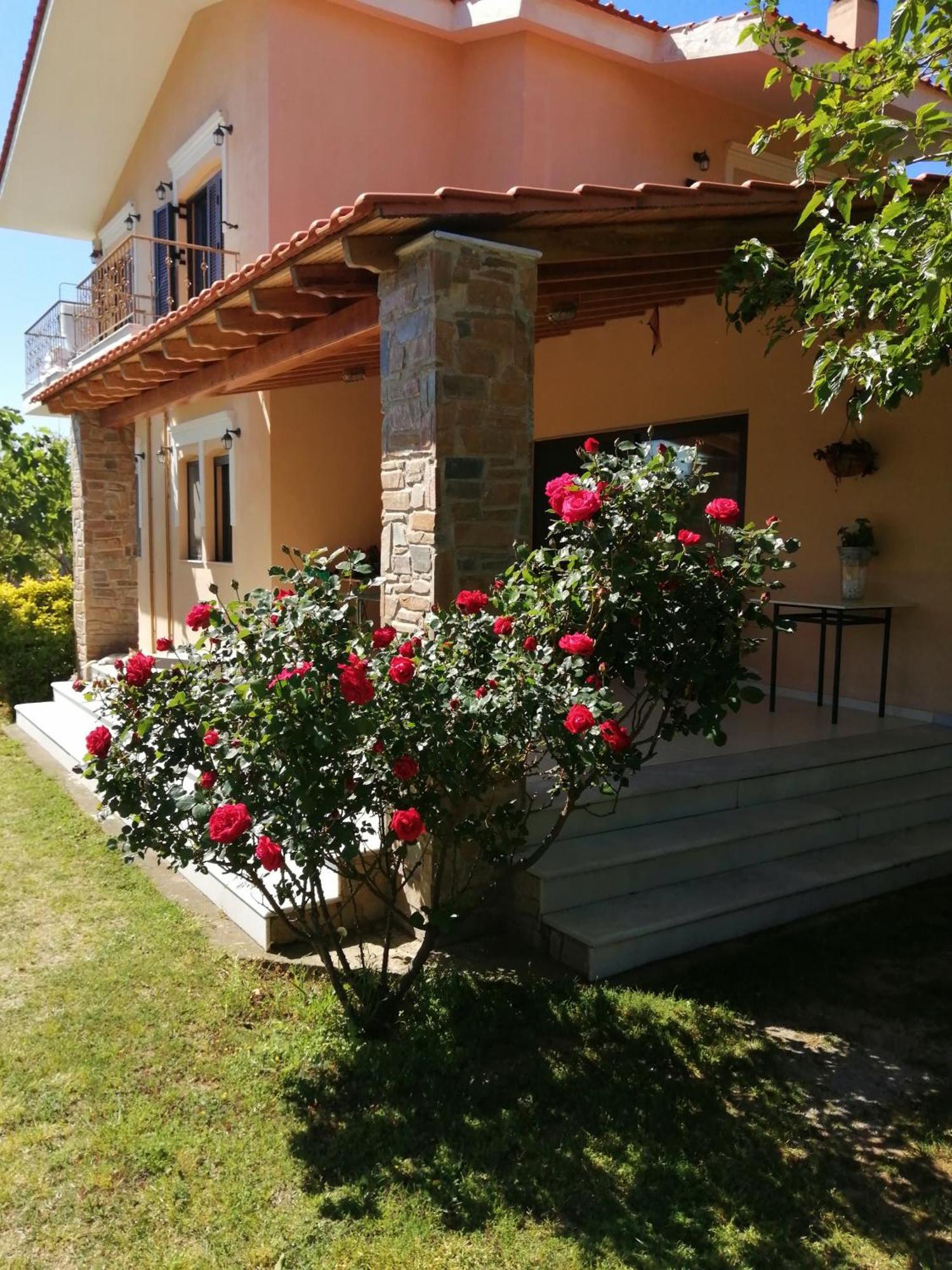 Villa Diamont Kimméria